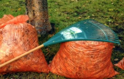bags of leaves with green rake
