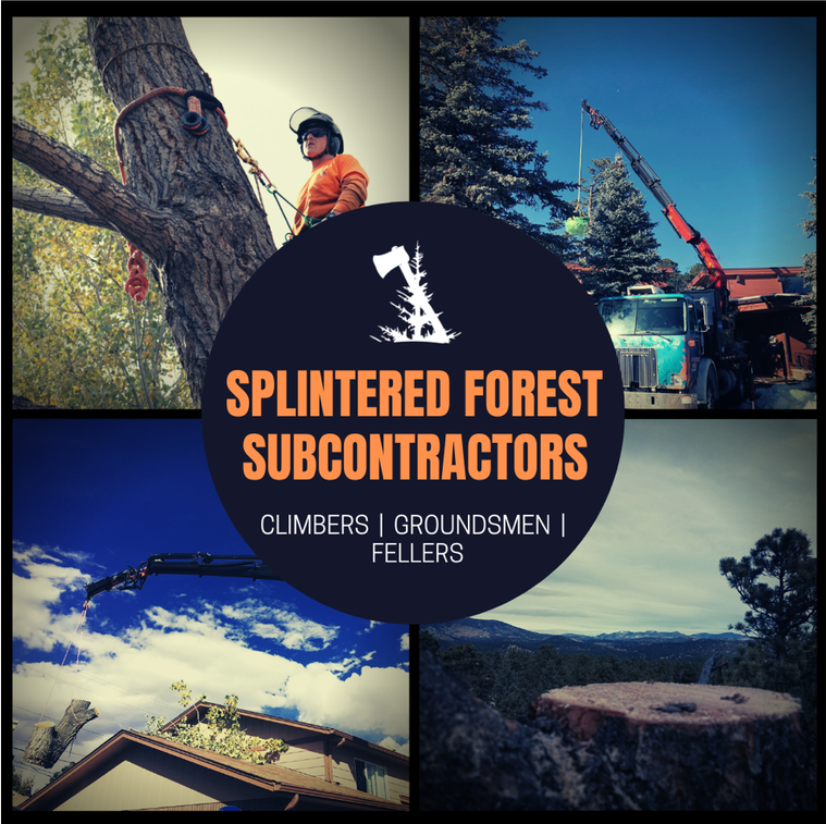 Subcontract Tree Climber Skilled Tree Subcontractors Wanted, Join Our Tree Services Crews