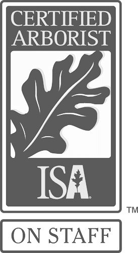 ISA Certified Arborist On Staff Logo