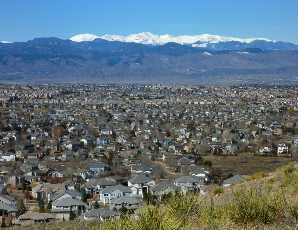 Highlands Ranch Tree Services and wildfire protection.png