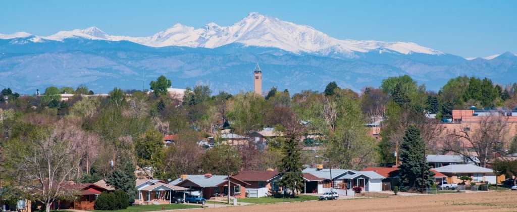 Westminster Colorado Tree Services